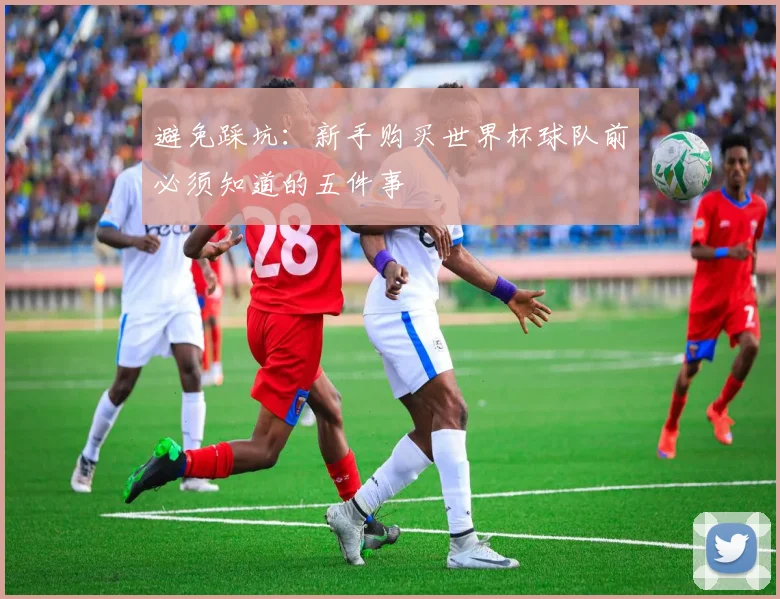 避免踩坑：新手购买世界杯球队前必须知道的五件事