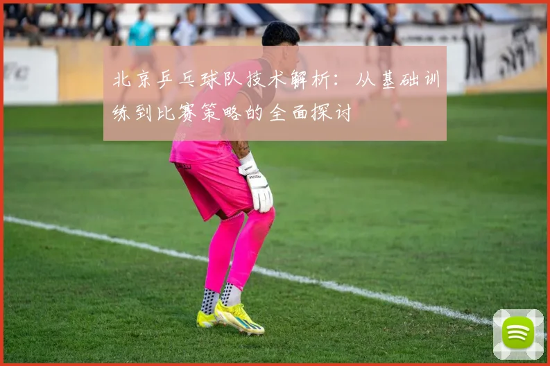 北京乒乓球队技术解析：从基础训练到比赛策略的全面探讨